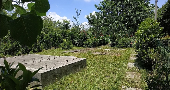 1668131466167632.jpg 1.jpg