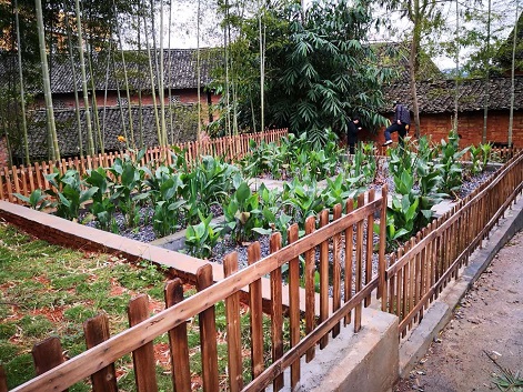 1669967792142771.jpg 8.jpg