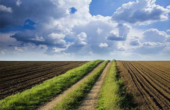 農(nóng)村環(huán)境治理中存在的問題有哪些? 農(nóng)村環(huán)境治理中存在的問題有哪些?